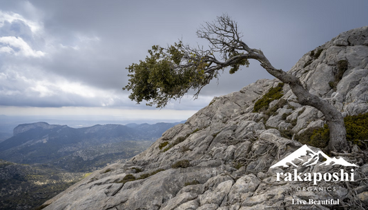 The Resilience Factor: How to Manage Stress and Strengthen Your Body Naturally