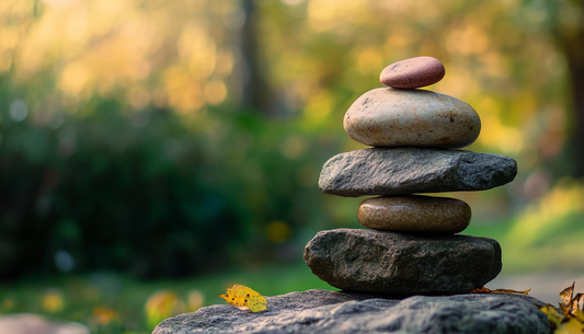 Harmony From Within: Understanding Natural Cycles for a Balanced Life