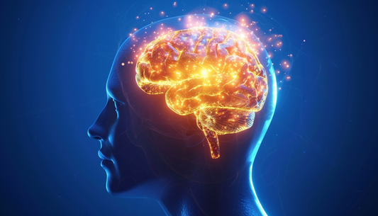 Discover Your Brain's Superpowers: How Shilajit Enhances Cognitive Well-Being