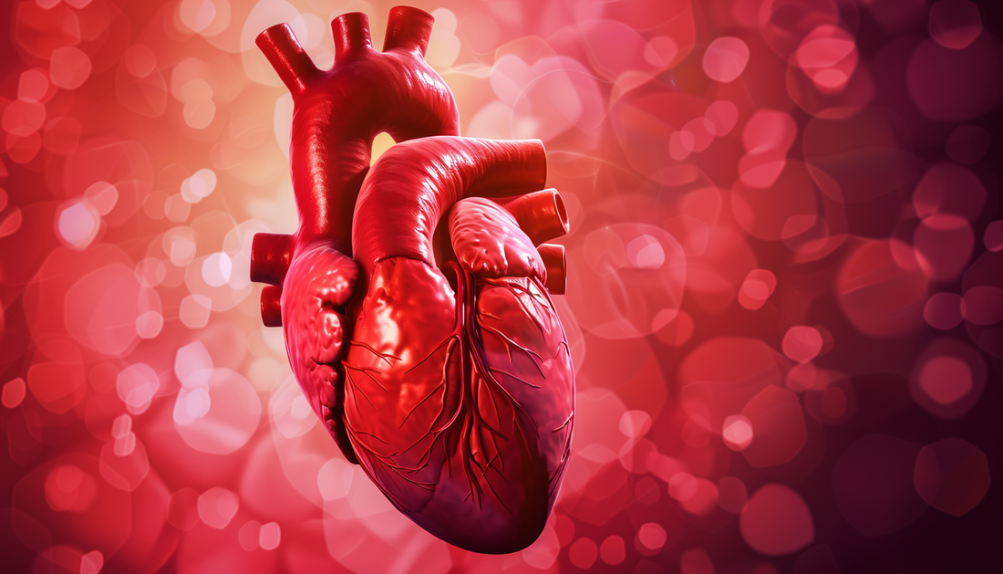 Elevating Heart Health: Exploring Shilajit's Role in Cardiovascular Wellness