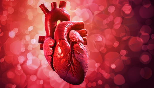 Elevating Heart Health: Exploring Shilajit's Role in Cardiovascular Wellness
