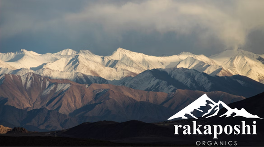 sundried organic Himalayan shilajit resin