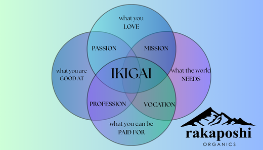 Ikigai - The Japanese Secret to a Purposeful Life