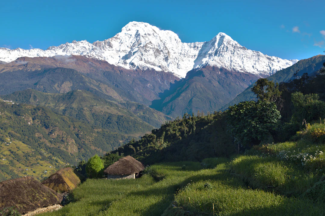 Nutrition Fundamentals Building a Balanced Approach to Eating