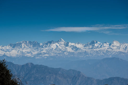 Himalayan Traditions Shaping Modern Wellness Trends