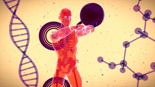 Unlocking Male Performance The Mineral Connection