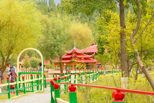 Unlocking the Secret Women of Gilgit-Baltistan  Shilajit