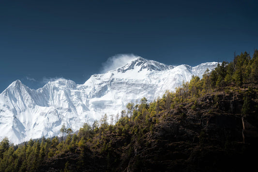 Mindful Eating Practices Cultivating Awareness Around Food