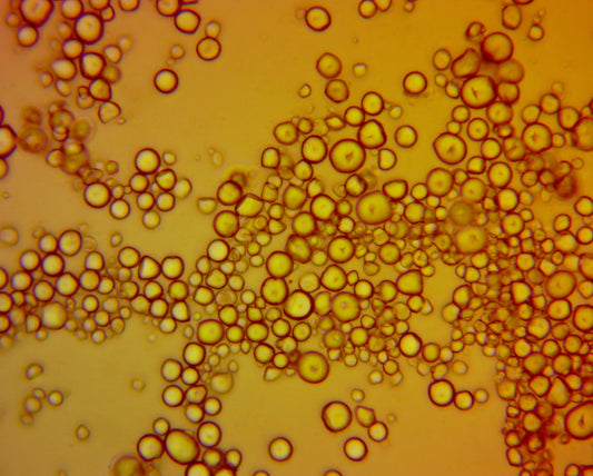 Are You Missing This Mineral Why Fulvic Acid Changes Everything