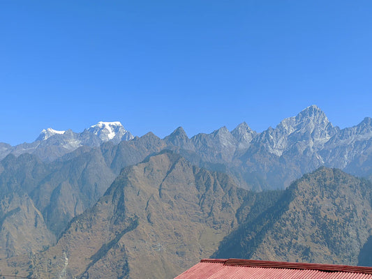 Discover the Impact of Nutrition and Lifestyle on Hormonal Health