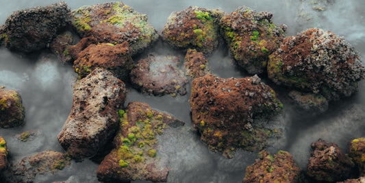 Coastal rocks covered with green moss and misty seawater